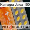 Kamagra Jelly 100 new05